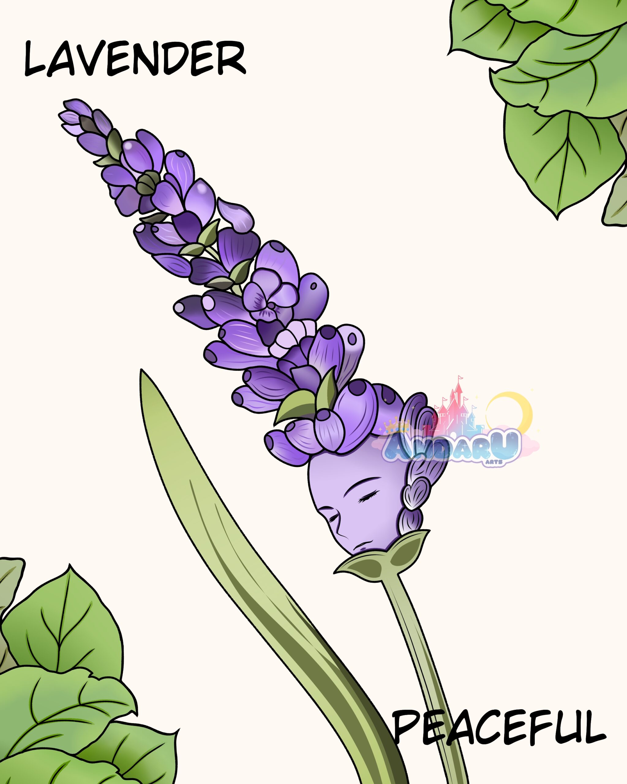 Lavender - Peaceful