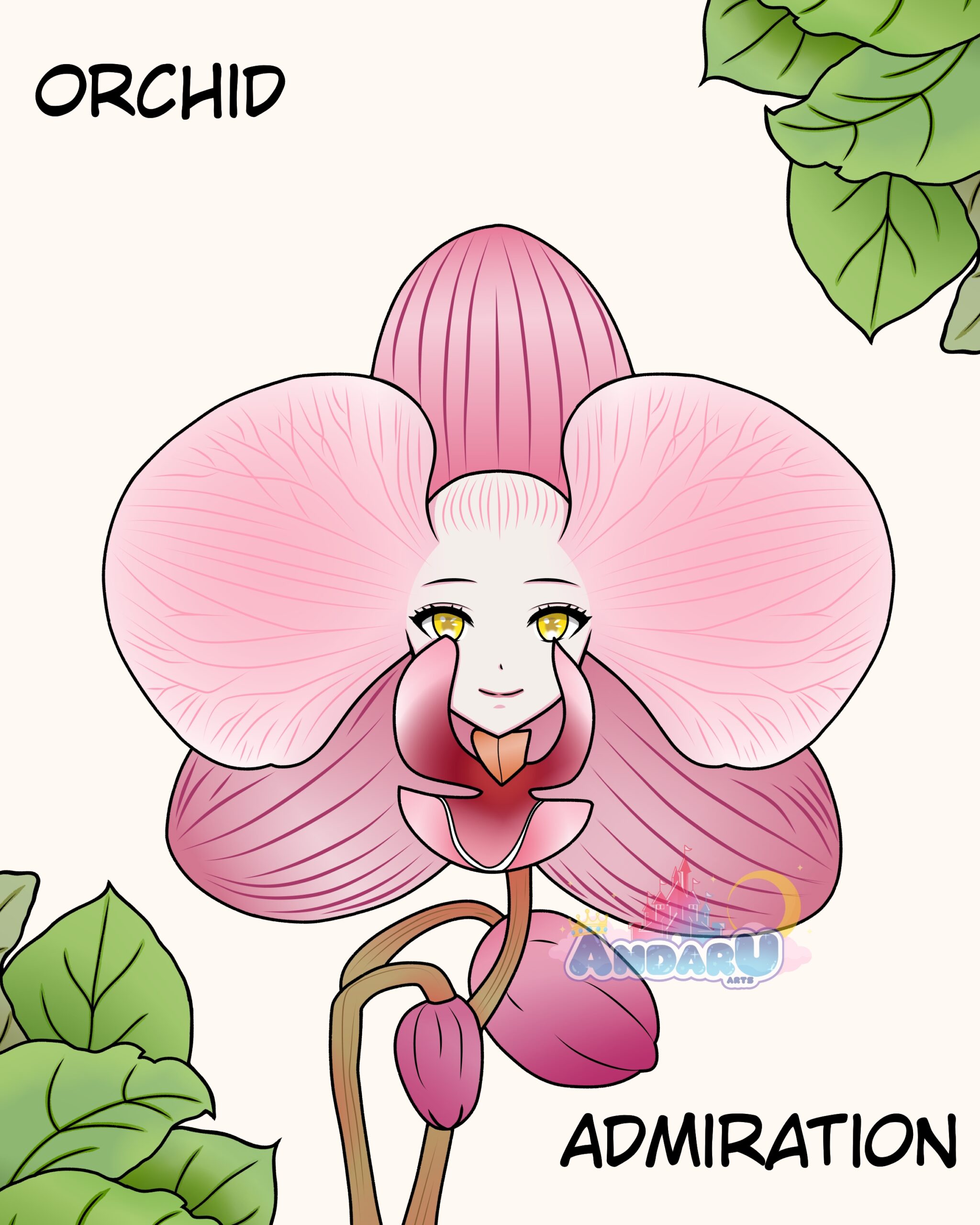 Orchid - Admiration